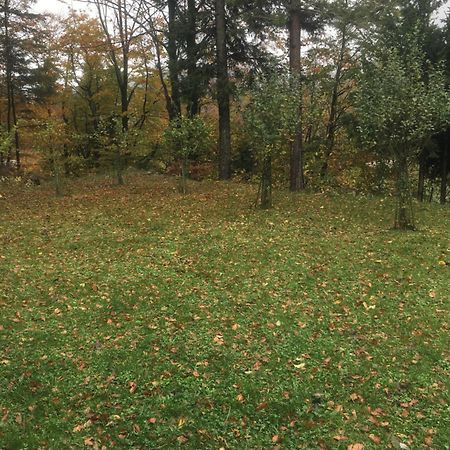Apartmaji Velikonja Ajdovščina Bagian luar foto