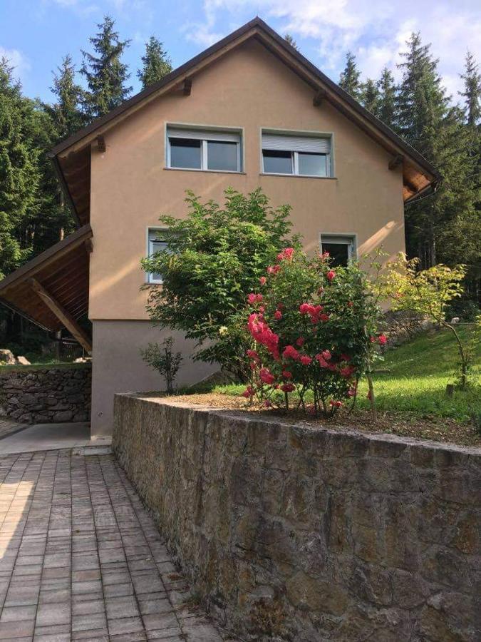 Apartmaji Velikonja Ajdovščina Bagian luar foto
