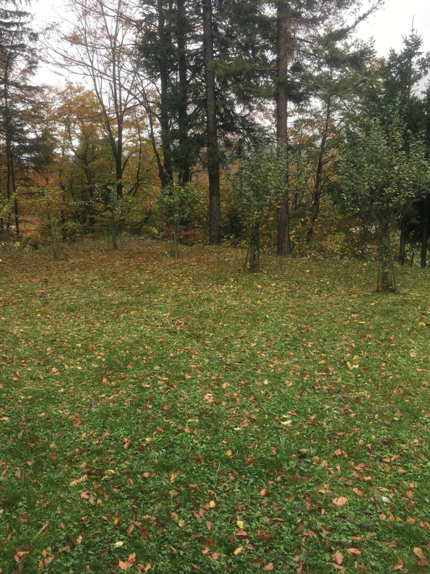 Apartmaji Velikonja Ajdovščina Bagian luar foto