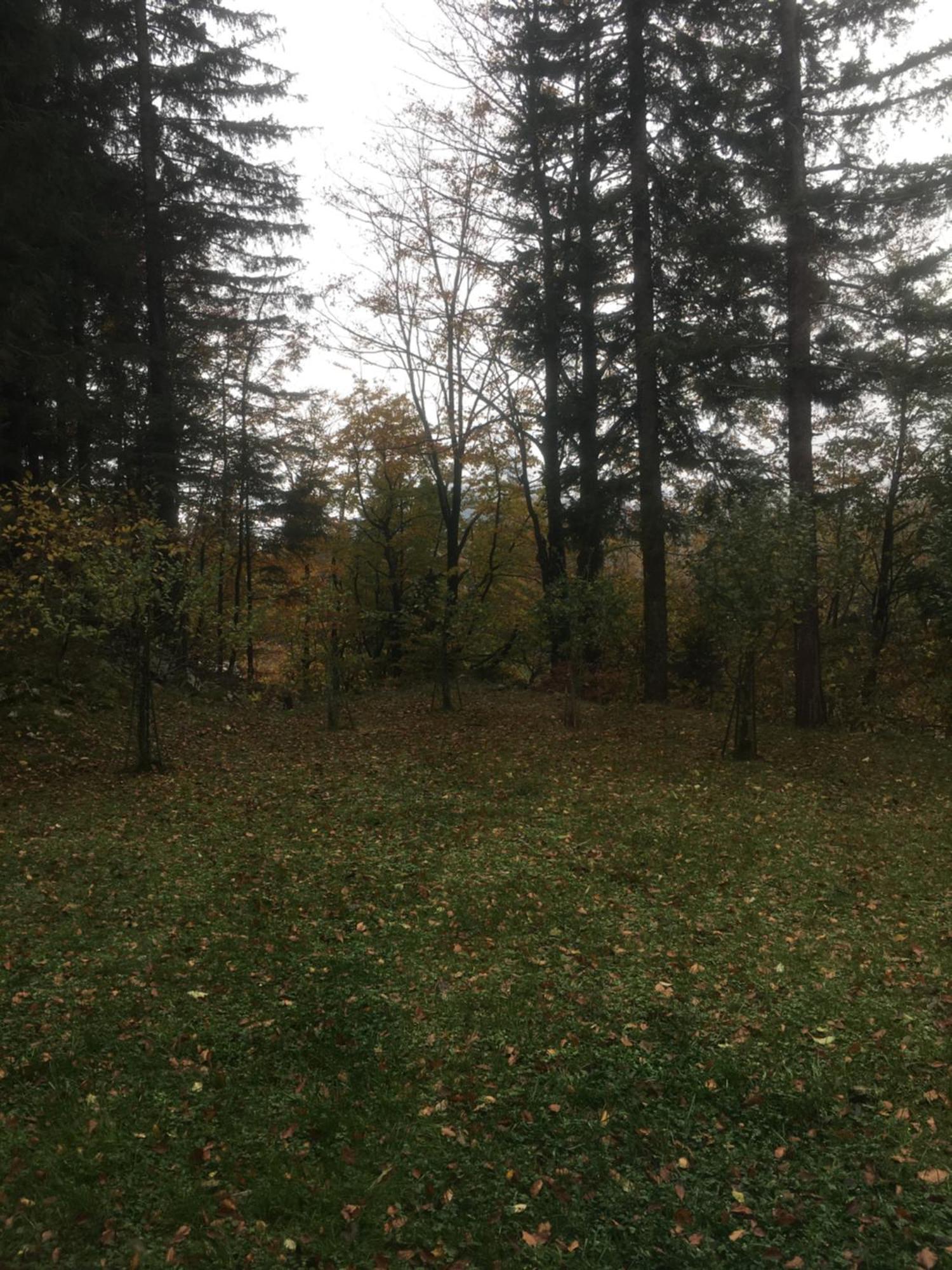 Apartmaji Velikonja Ajdovščina Bagian luar foto